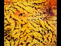 Fractals 3