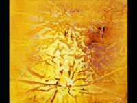 Fractals 4