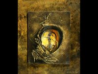 Out of the Shell 2